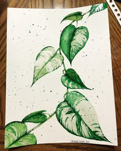 Watercolor vines Pothos Vine Drawing, Pathos Drawing, Pathos Painting, Pothos Vine Tattoo, Vine Mural, Vines Painting, Art Ideas Nature, Sean Tattoo, Vines Drawing