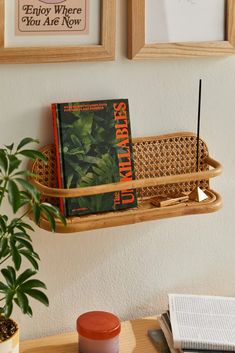 a wooden shelf with books on it next to a potted plant