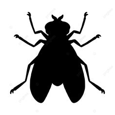 a black and white silhouette of a fly insect