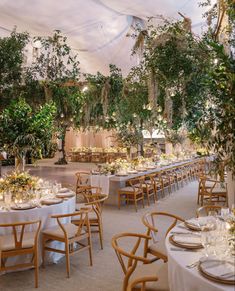 tables and chairs are set up in a tented area with greenery hanging from the ceiling