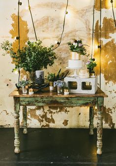 a table topped with lots of potted plants next to a wall covered in lights