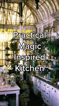 a kitchen with lots of potted plants in it