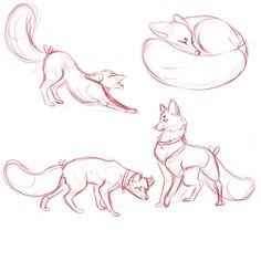 three different types of foxes are shown in this drawing