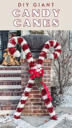 a candy cane is decorated with red and white flowers