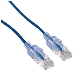 two blue cat5e patch cables on a white background