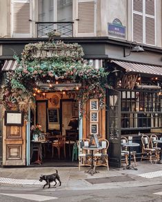 a dog is walking in front of a building with tables and chairs on the outside