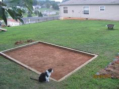 a black and white cat sitting on top of a patch of dirt in a yard