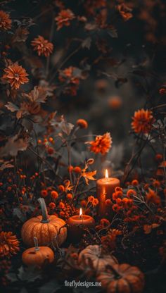 two candles are sitting in the middle of some flowers and orange pumpkins on the ground