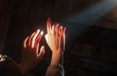 two hands reaching up towards the light coming from behind