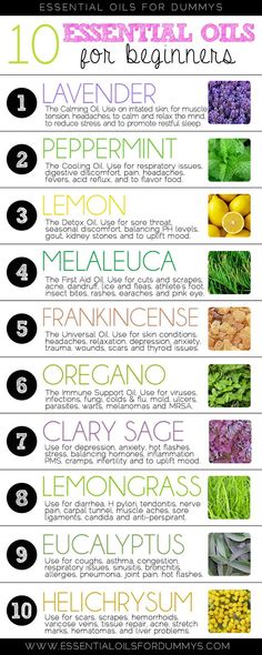 If you’ve been wanting to get started with essential oils but not sure where to begin, these top 10 essential oils are great to get you on your way. Essential Oils For Beginners, Saving Strategies