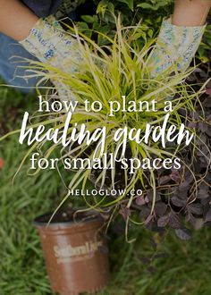 someone holding a potted plant with the words how to plant a bedding garden for small spaces