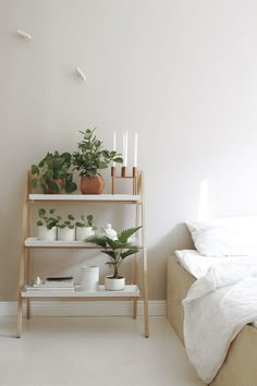 a shelf with plants and candles on it in a white room next to a bed