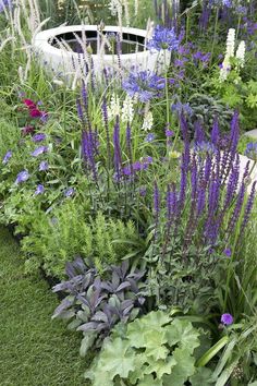 an image of a garden with purple flowers in it and green grass on the ground