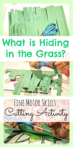 the cover of what is hiding in the grass? fine motor skills and cutting activity