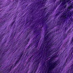 closeup of purple fur texture