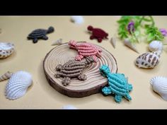 there are many sea shells on the table and one is laying on top of a piece of wood