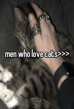 a person petting a cat with the caption men who love cats > >