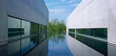 the reflection of trees in the water is seen on the surface of the building's exterior