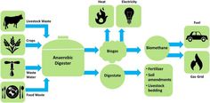 the diagram shows how food is made and what it uses to make it into an energy source