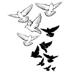 black and white silhouettes of birds flying in the air with their wings spread out