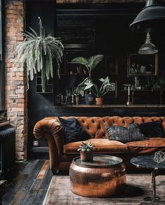 a living room filled with furniture and plants