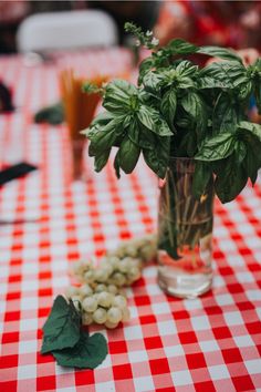 a table with a red and white checkered table cloth, potted plant on it