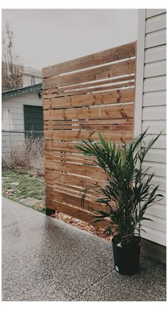 a potted plant next to a wooden fence on the side of a house in front of a building