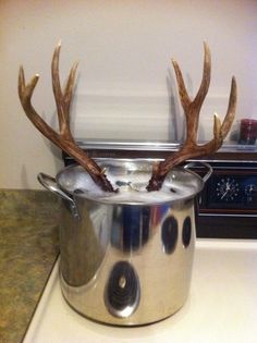 a metal pot with antlers sticking out of it sitting on a counter top next to a clock