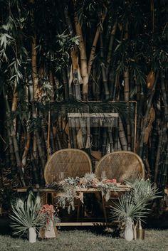 two wicker chairs sitting next to each other in front of a bamboo wall with plants