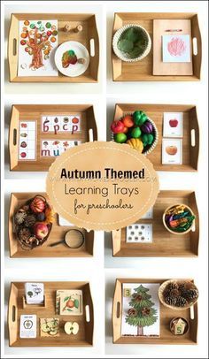 the autumn themed learning trays for preschoolers are organized and ready to be played with