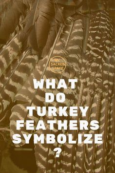 what do turkey feathers symbolize? with the words, what do turkey feathers symbolize?