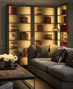 a living room filled with lots of furniture and bookshelves covered in shelves next to a coffee table