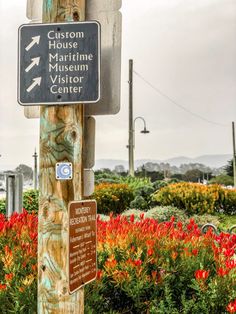 a wooden pole with several signs on it in front of flowers and trees near the ocean