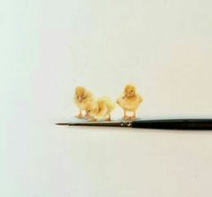 two little chicks are sitting on top of a black object with a pen in front of them