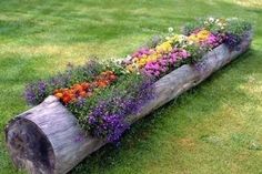 a log filled with flowers sitting in the grass