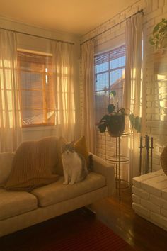 a cat sitting on top of a couch in a living room next to a window