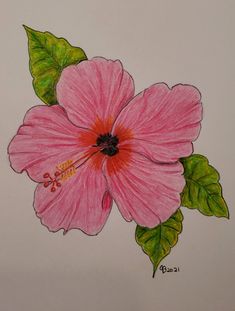 a drawing of a pink flower with green leaves on the side and red stamen