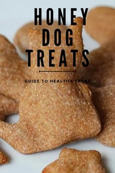 honey dog treats on a white plate with the title overlay reads honey dog treats guide to healthy treat