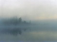 a foggy lake with trees in the distance