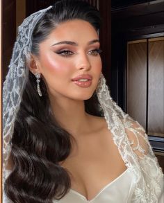 a woman in a wedding dress wearing a veil and tiara with long dark hair