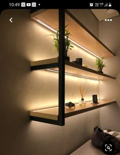 a shelf with some plants on it and other items in front of the shelves that are lit up