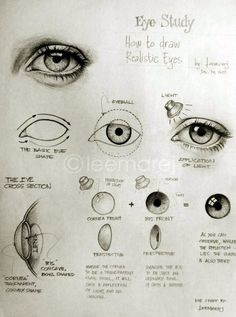 eye study how to draw realistic eyes