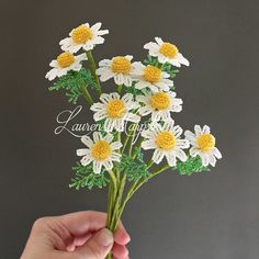 a hand holding a bunch of white and yellow flowers