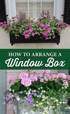 window box with flowers in it and the words how to arrange windows box on top