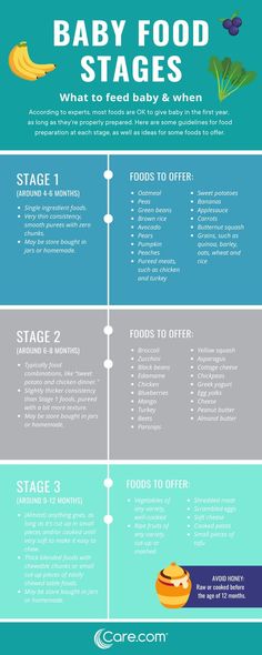 the baby food stages info sheet