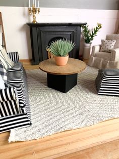 a living room filled with furniture and a potted plant on top of a coffee table