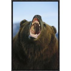 a brown bear with its mouth open showing teeth