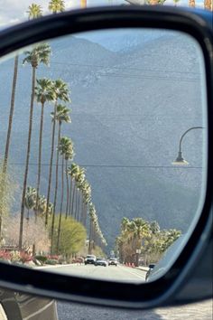 palm trees are seen in the reflection of a car's side view mirror