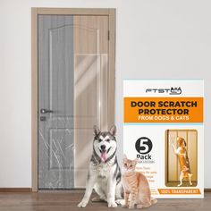 two dogs and a cat sitting next to each other in front of door scratch protectors