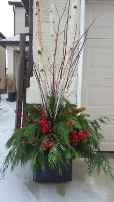 a potted plant with red berries and greenery in front of a garage door